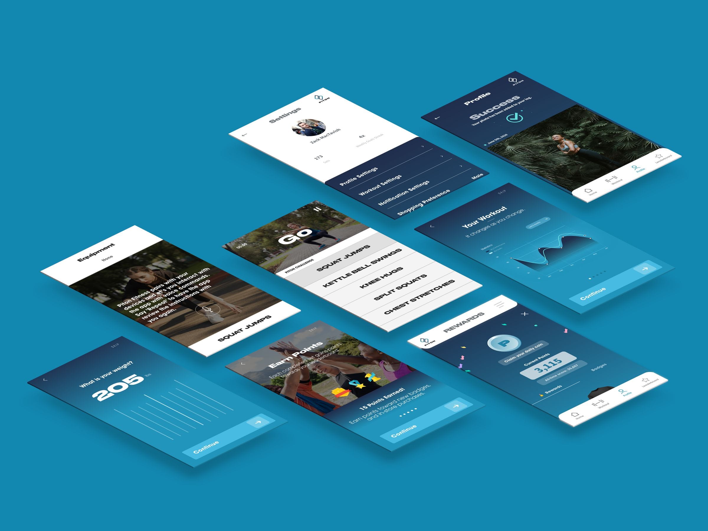 Piton project preview